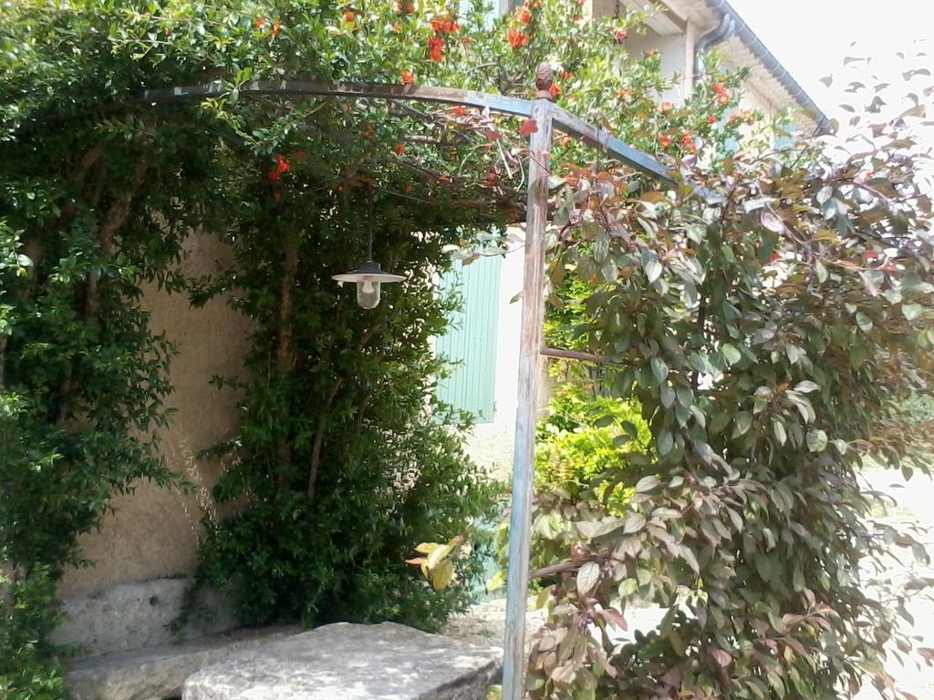 Mas La Vitalis Chambres D'Hotes L'Isle-sur-la-Sorgue Luaran gambar
