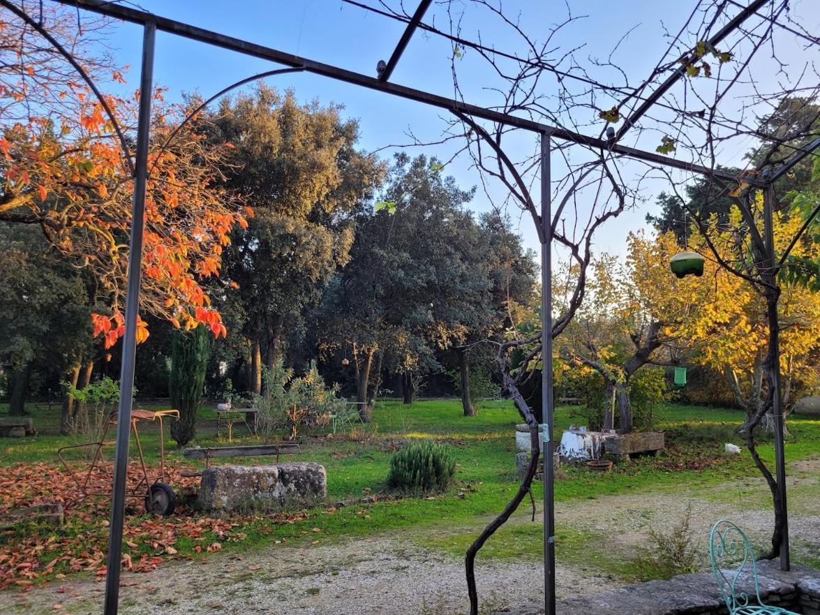 Mas La Vitalis Chambres D'Hotes L'Isle-sur-la-Sorgue Luaran gambar